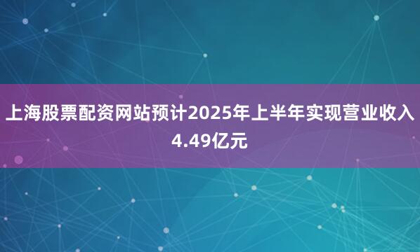 上海股票配资网站预计2025年上半年实现营业收入4.49亿元